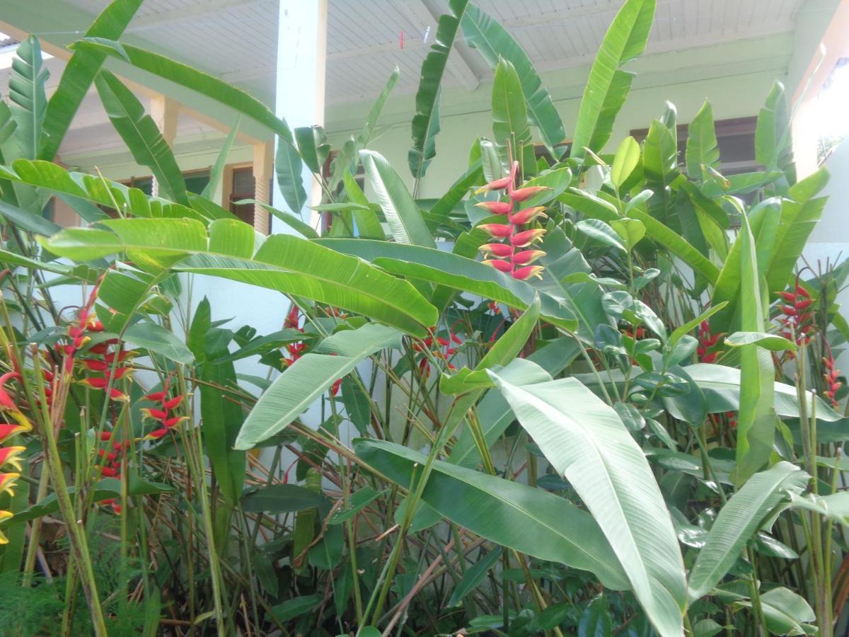 Residence Madelia Port Louis Bagian luar foto
