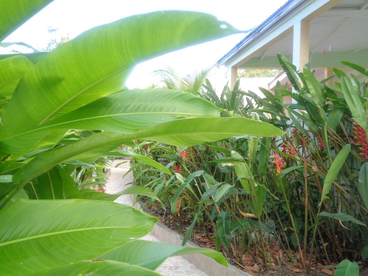 Residence Madelia Port Louis Bagian luar foto