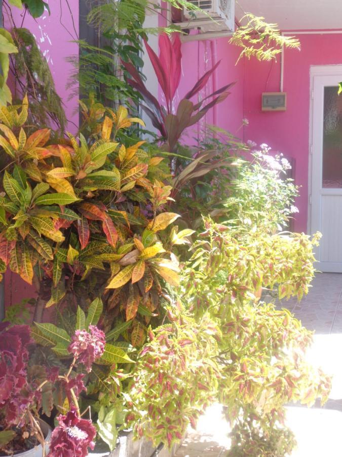 Residence Madelia Port Louis Bagian luar foto