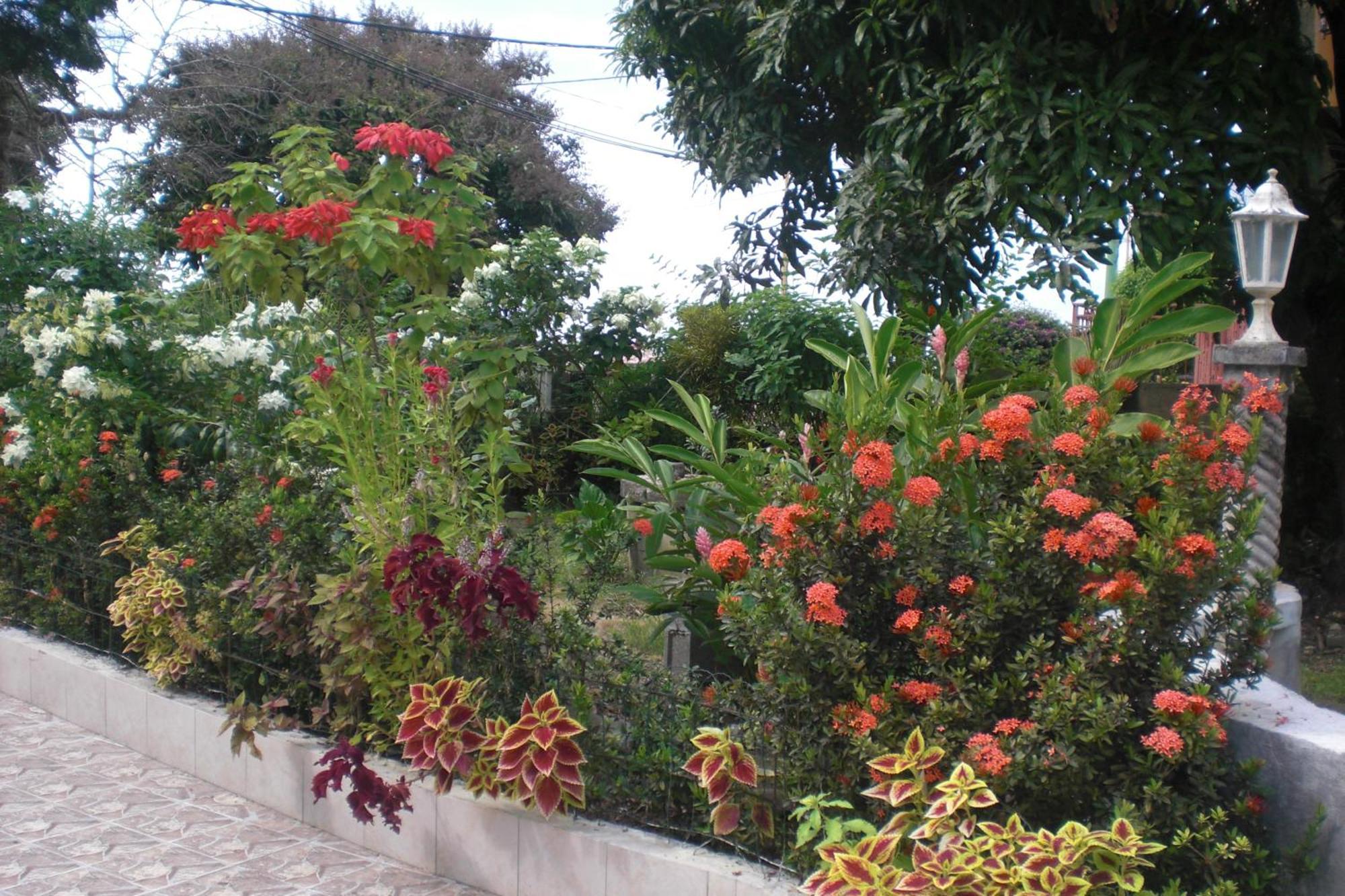 Residence Madelia Port Louis Bagian luar foto