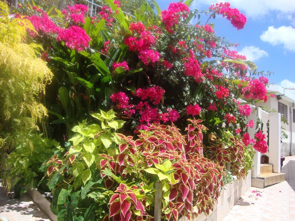 Residence Madelia Port Louis Bagian luar foto